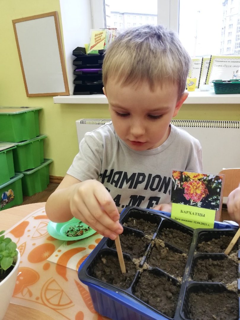 Веселые ребята 1 8