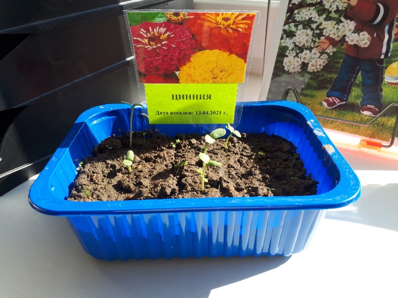 Веселые ребята 2 7