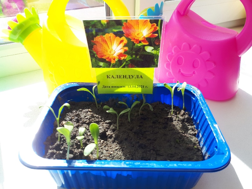 Веселые ребята 2 8