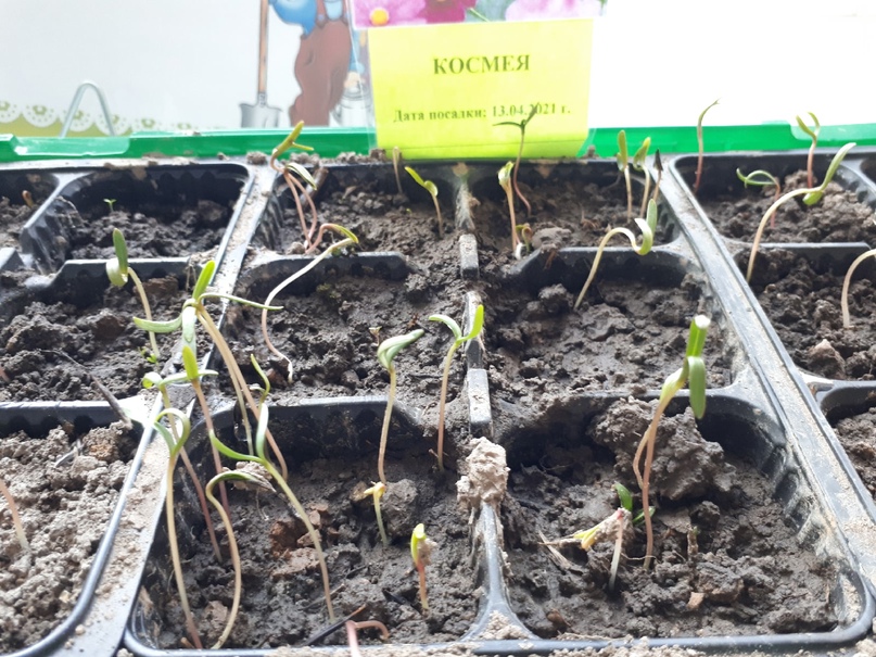 Веселые ребята 2 9