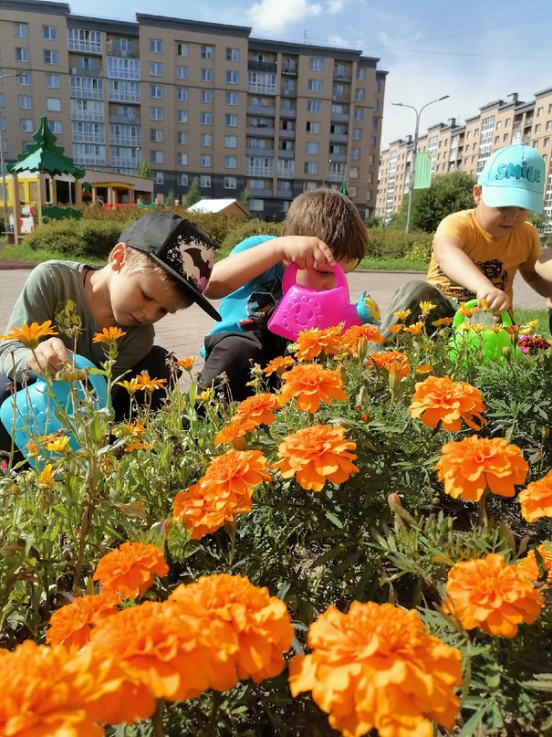 Веселые ребята 3 1