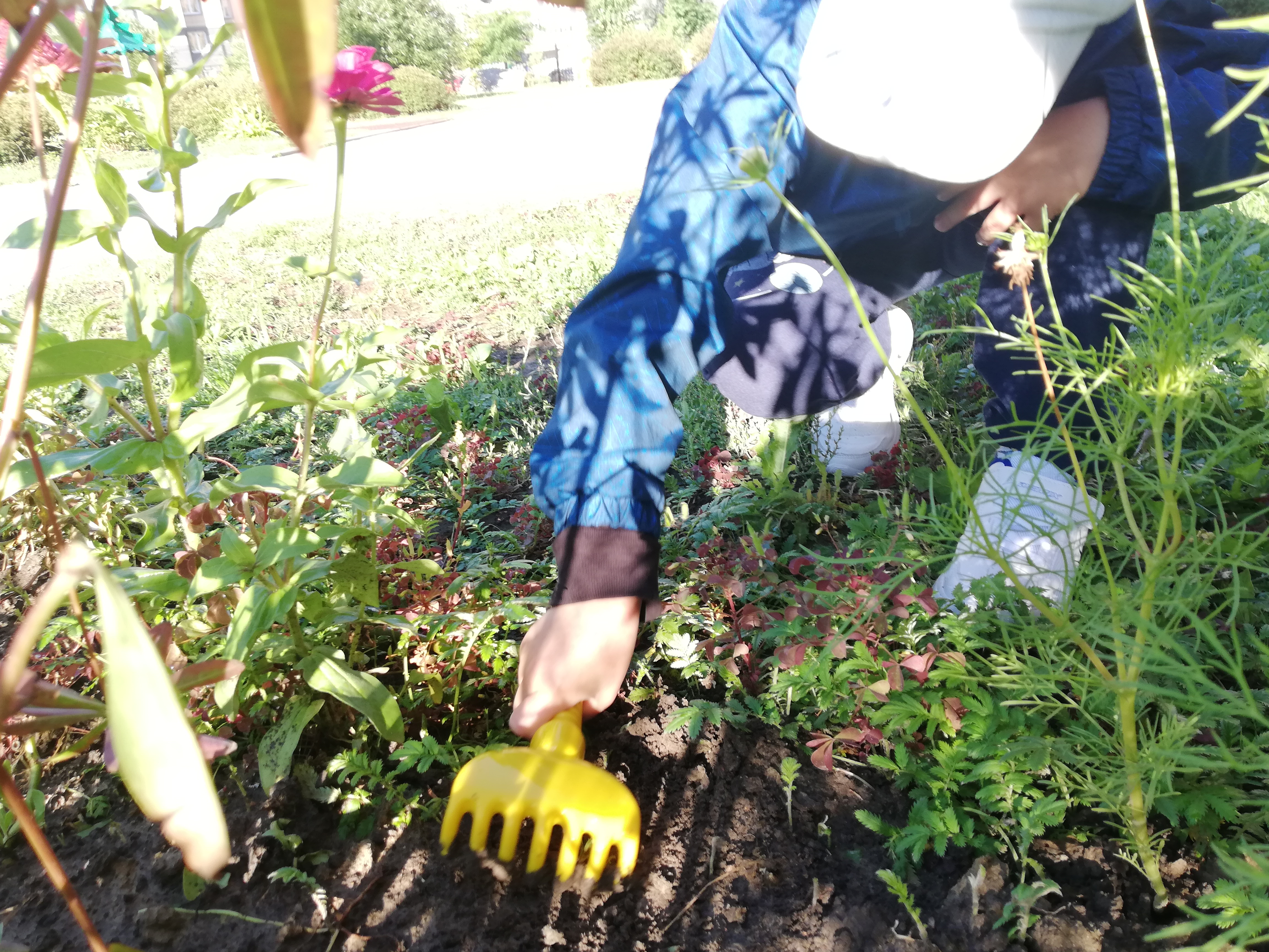 Веселые ребята 3 7