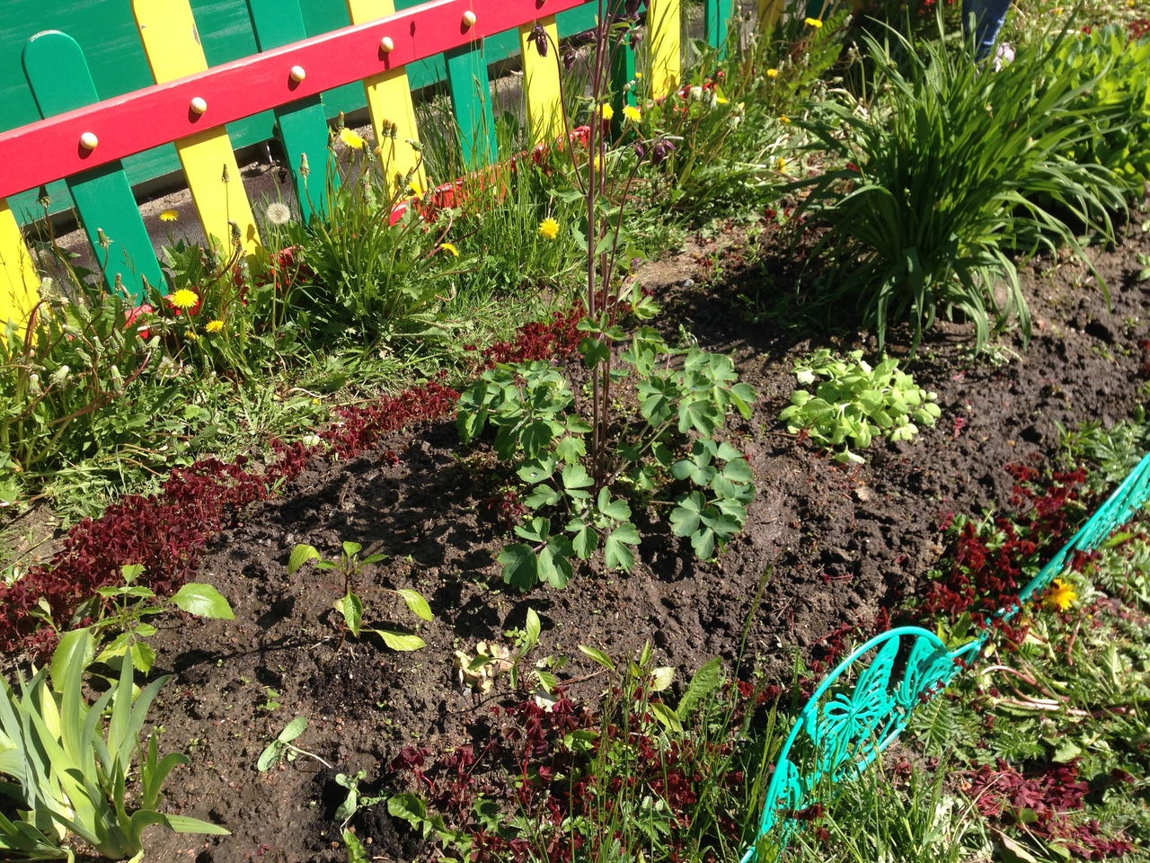 Всезнайки Мечтатели 2 2