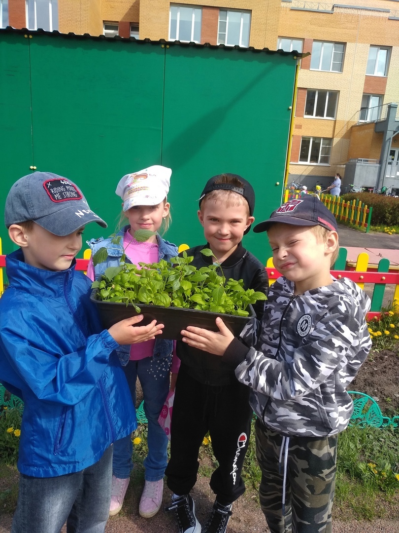 Всезнайки Мечтатели 2 3