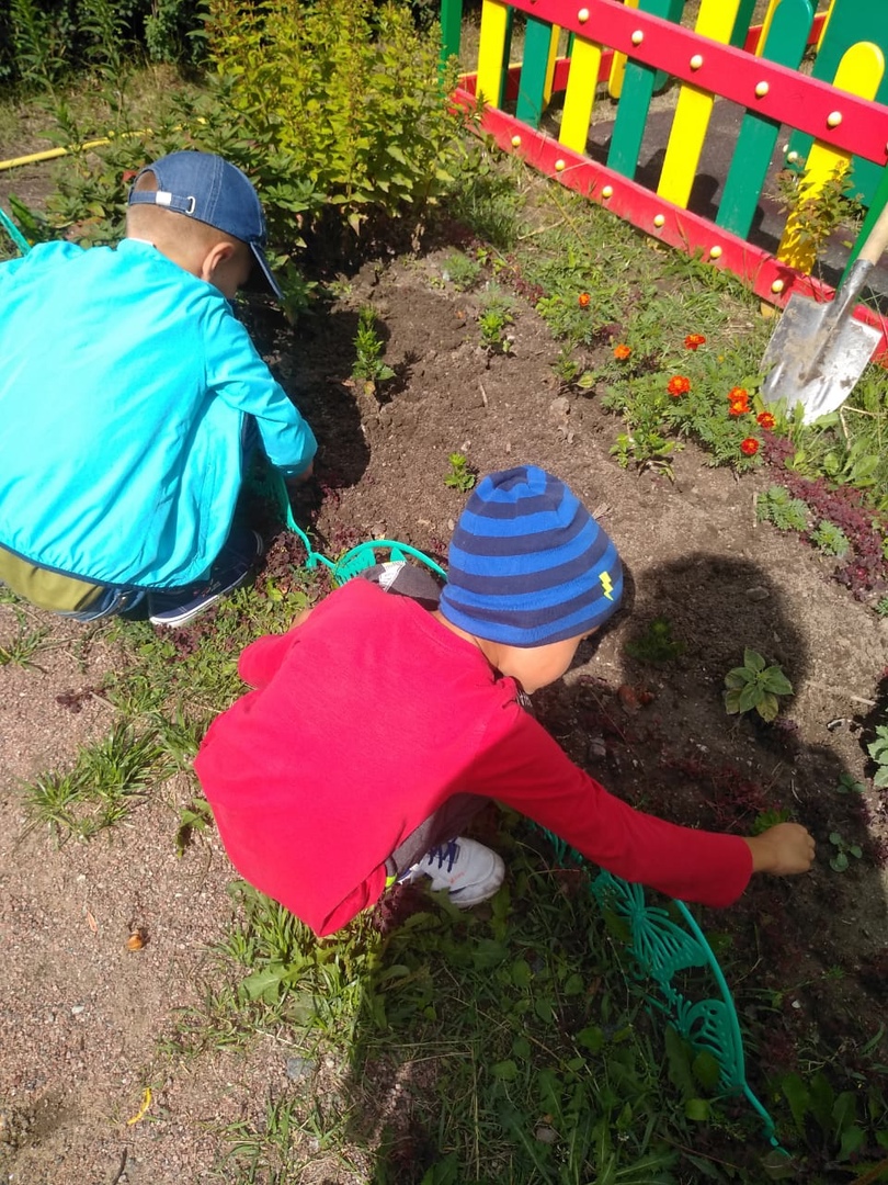 Всезнайки Мечтатели 2 4