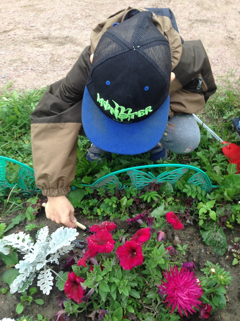 Всезнайки Мечтатели 2 6