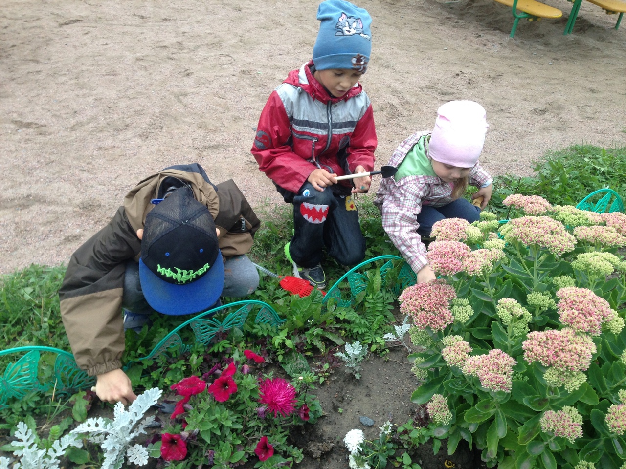 Всезнайки Мечтатели 3 6