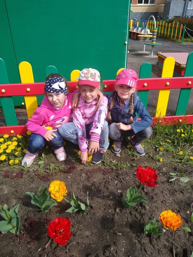 Всезнайки Мечтатели 3 7