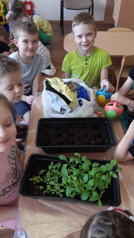 Всезнайки Мечтатели 1 1