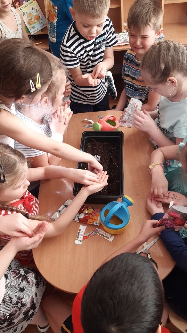 Всезнайки Мечтатели 1 2