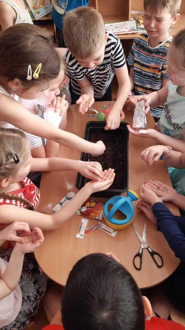 Всезнайки Мечтатели 1 3