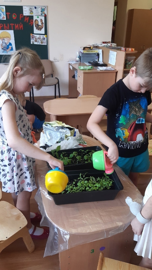 Всезнайки Мечтатели 1 4