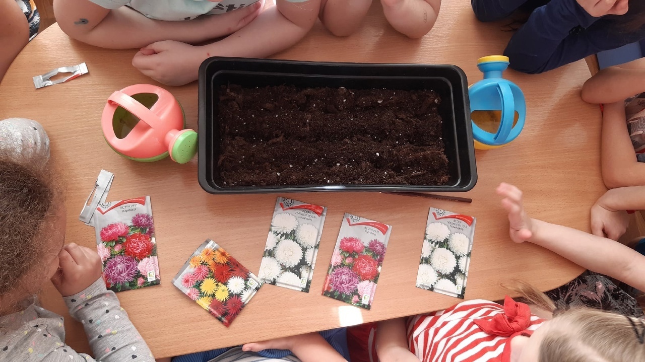 Всезнайки Мечтатели 1 5