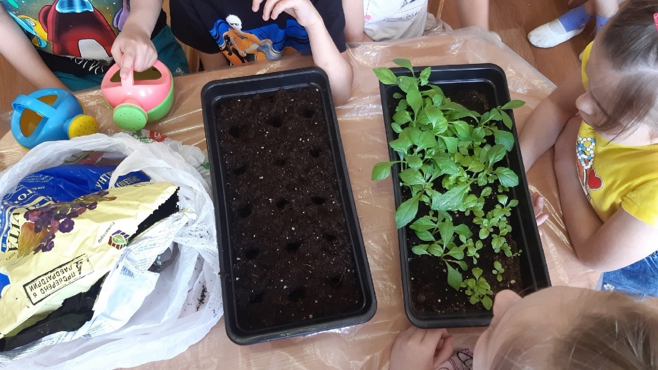 Всезнайки Мечтатели 1 6