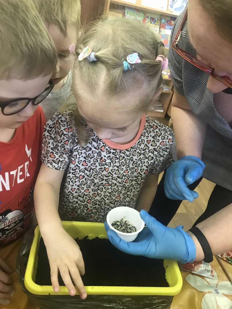 Курносики Крепыши 1 10