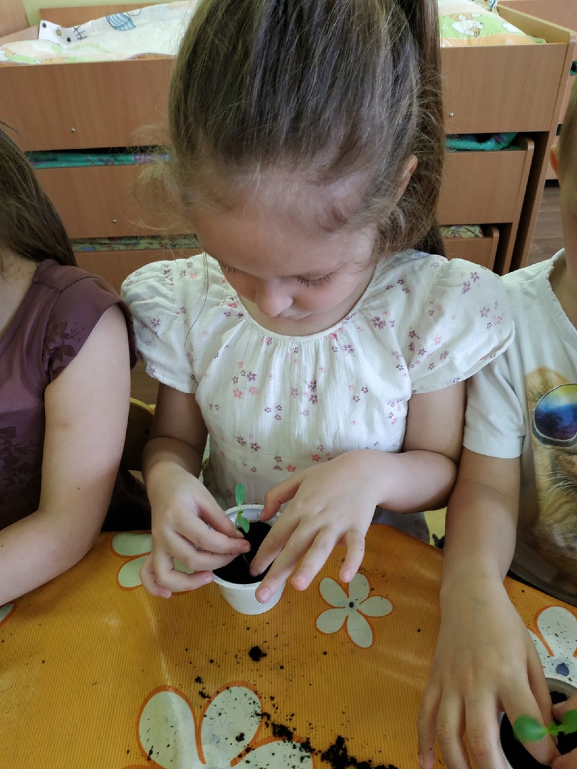 Курносики Крепыши 1 15