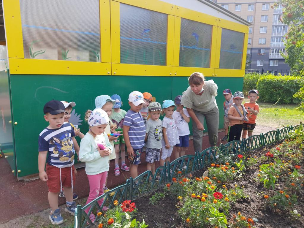 Курносики Крепыши 1 18