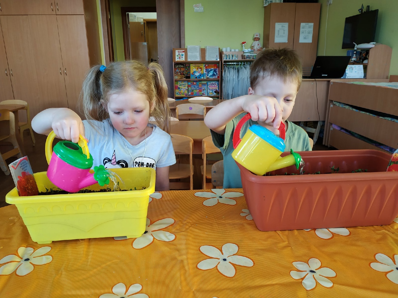 Курносики Крепыши 1 20