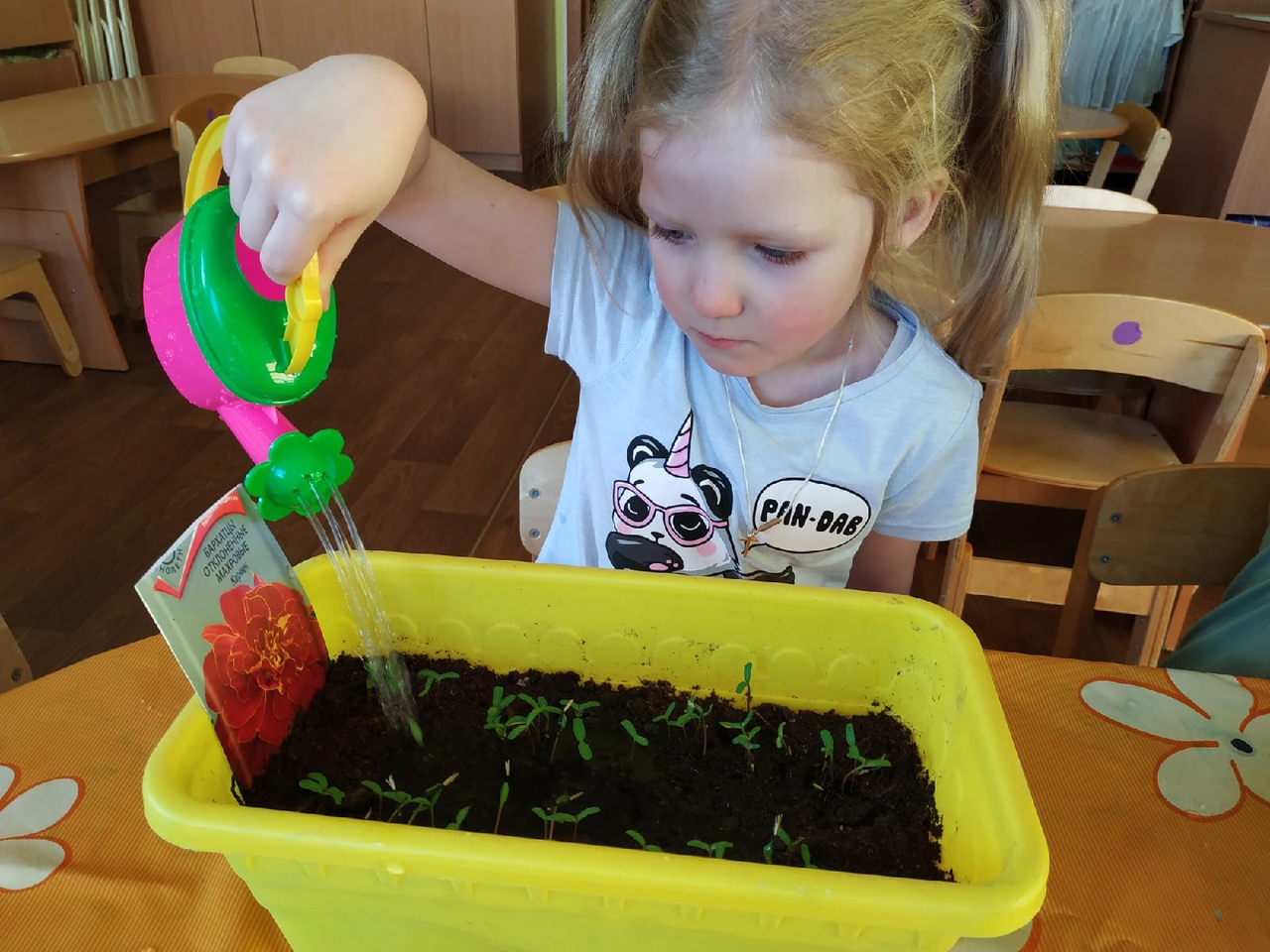 Курносики Крепыши 1 24