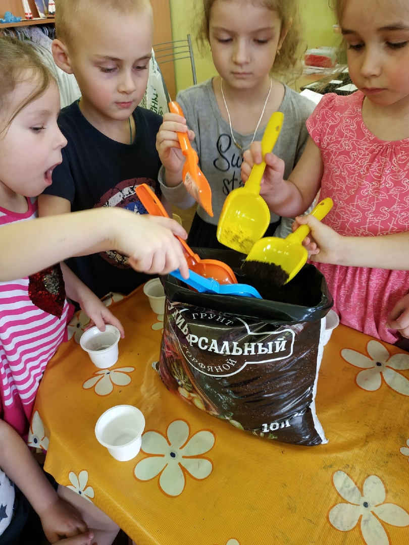 Курносики Крепыши 1 28