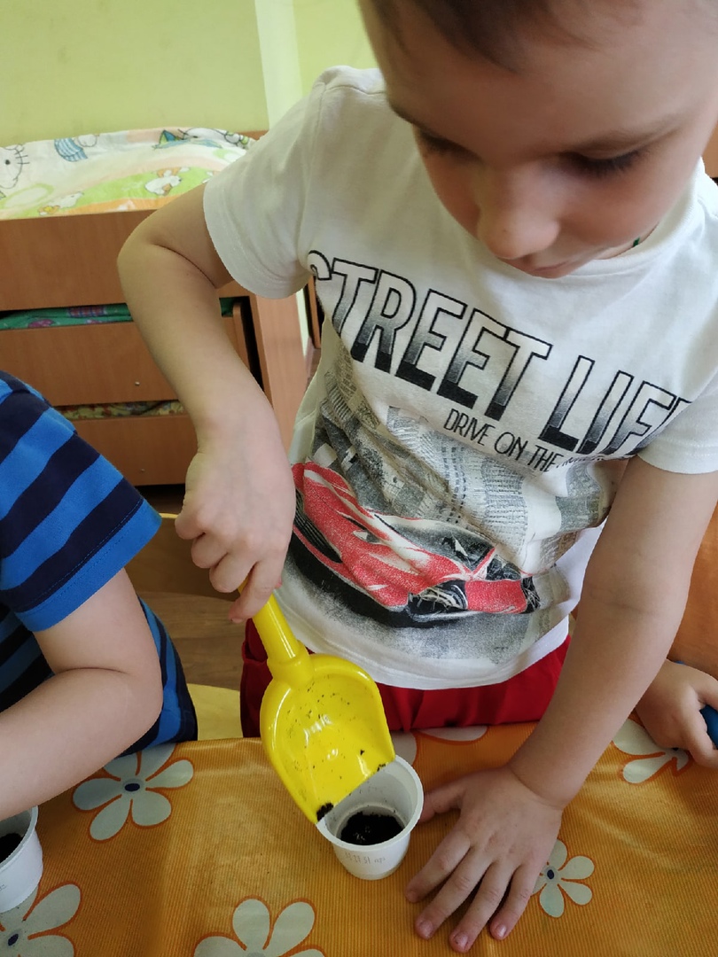 Курносики Крепыши 1 3