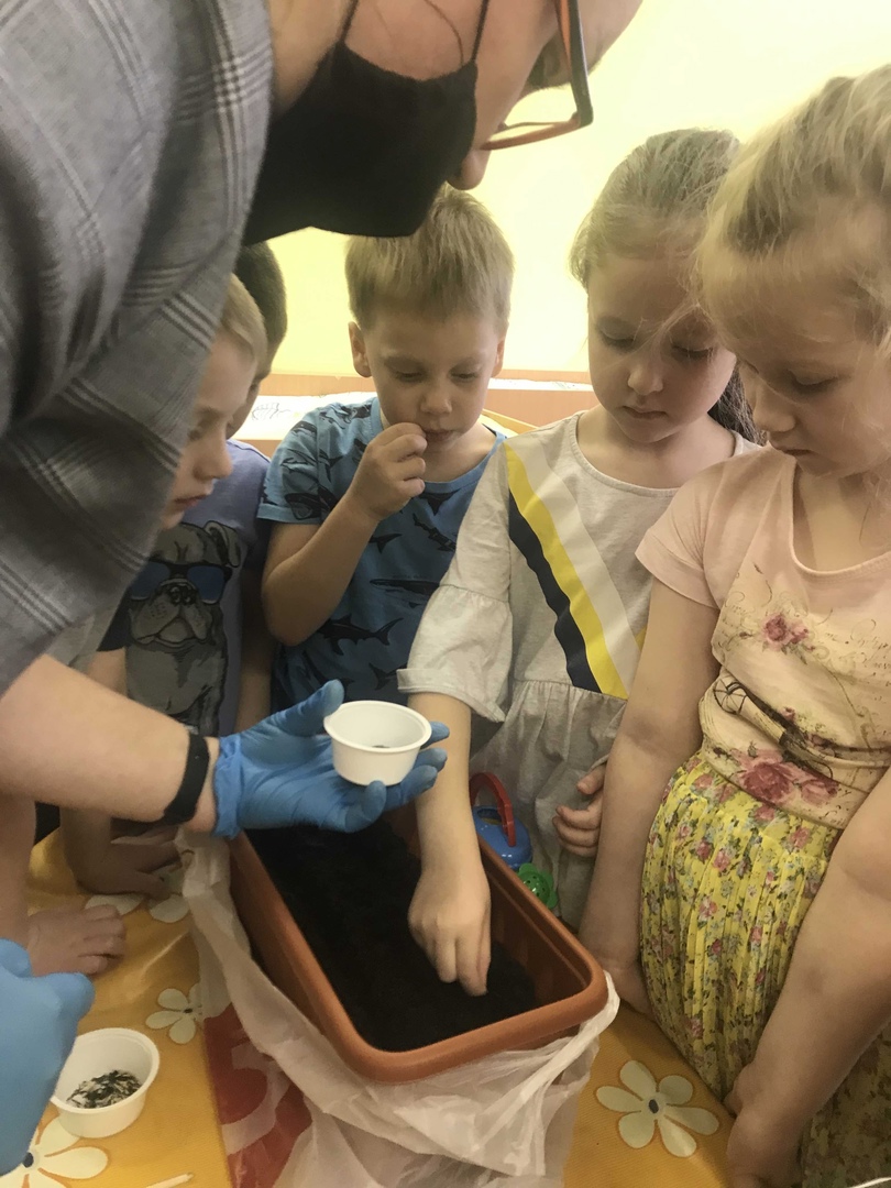 Курносики Крепыши 1 30