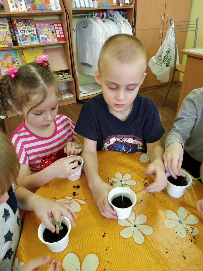 Курносики Крепыши 1 32