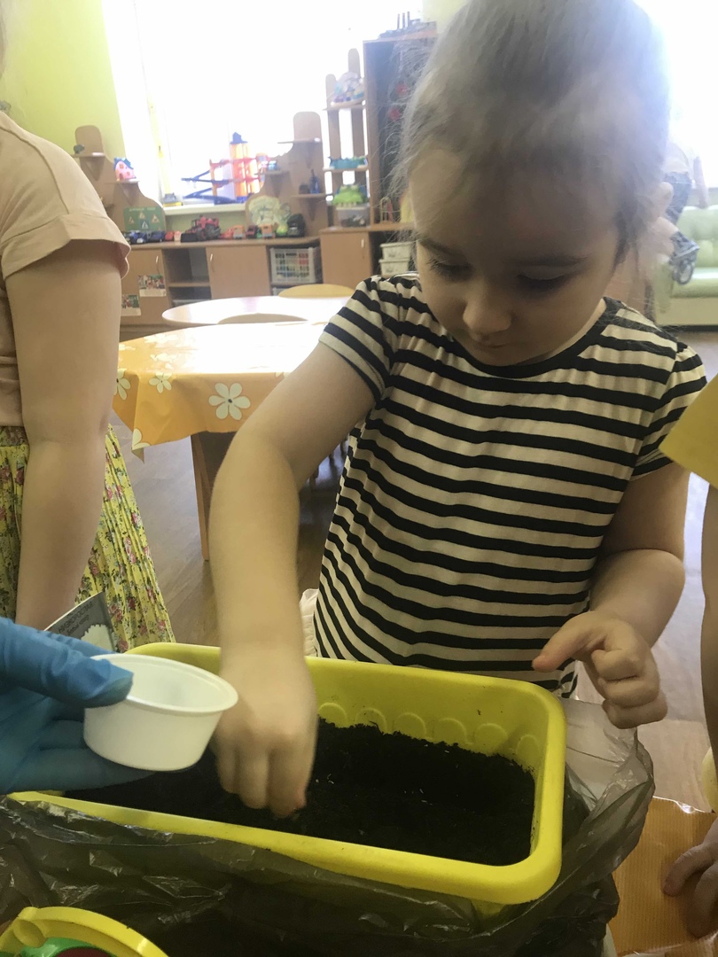 Курносики Крепыши 1 35