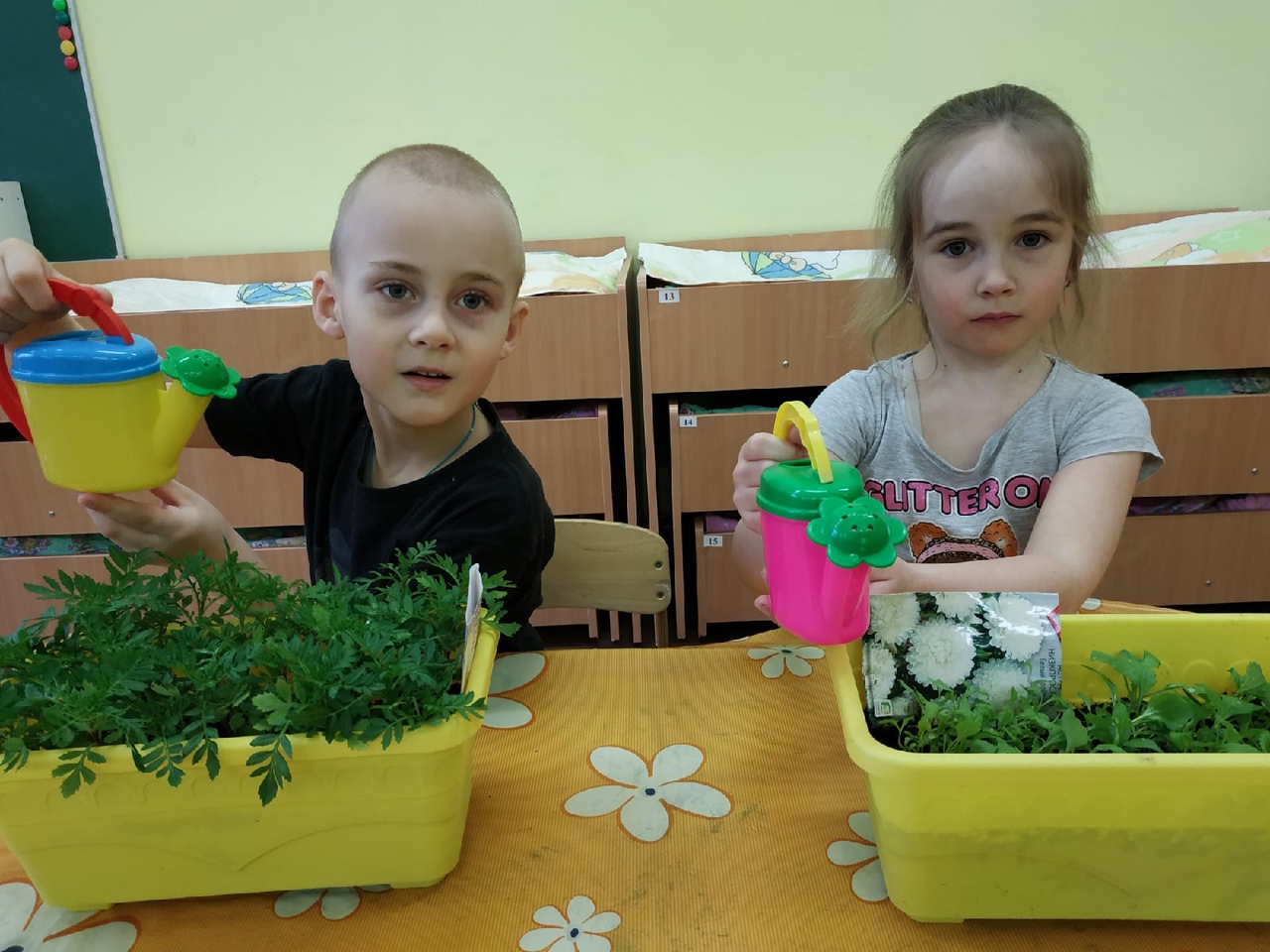 Курносики Крепыши 1 39