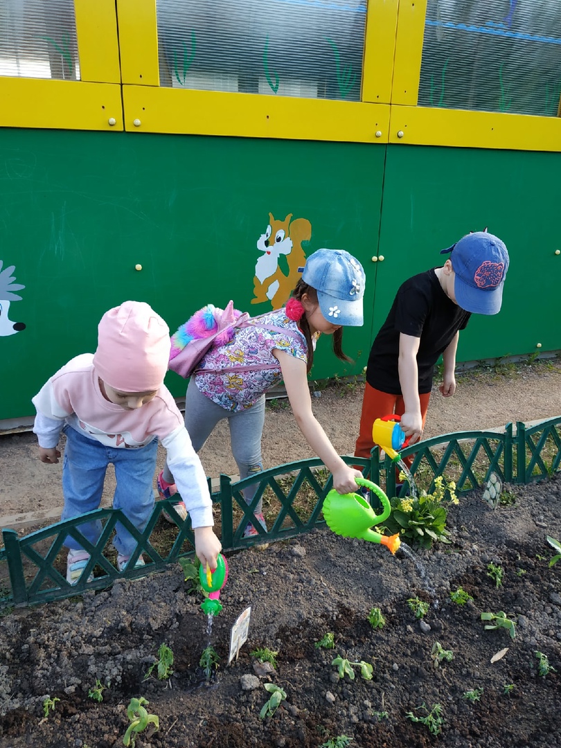 Курносики Крепыши 1 4