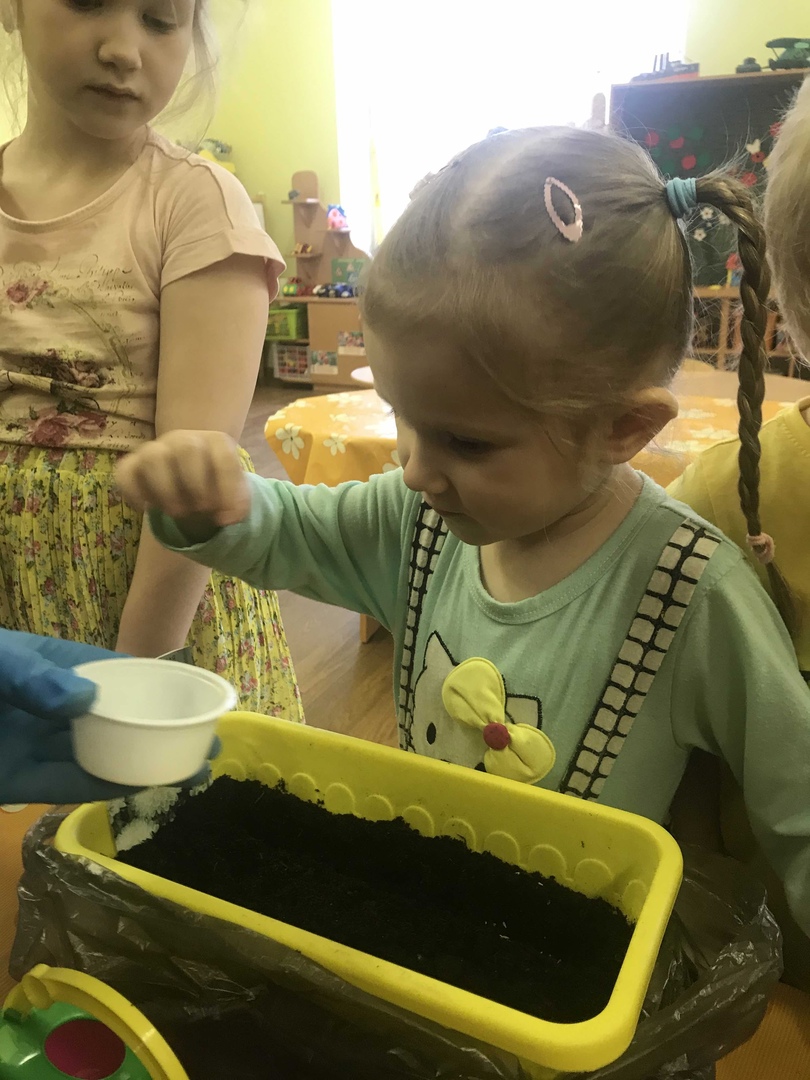 Курносики Крепыши 1 42