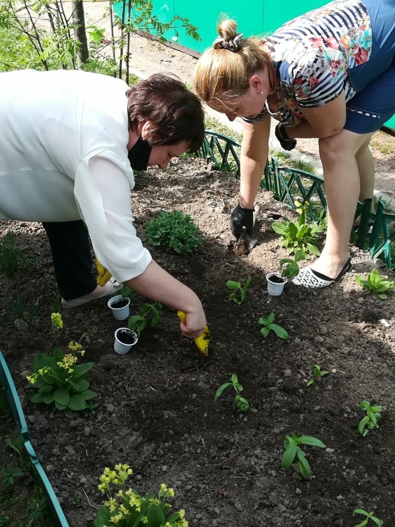 Курносики Крепыши 1 43