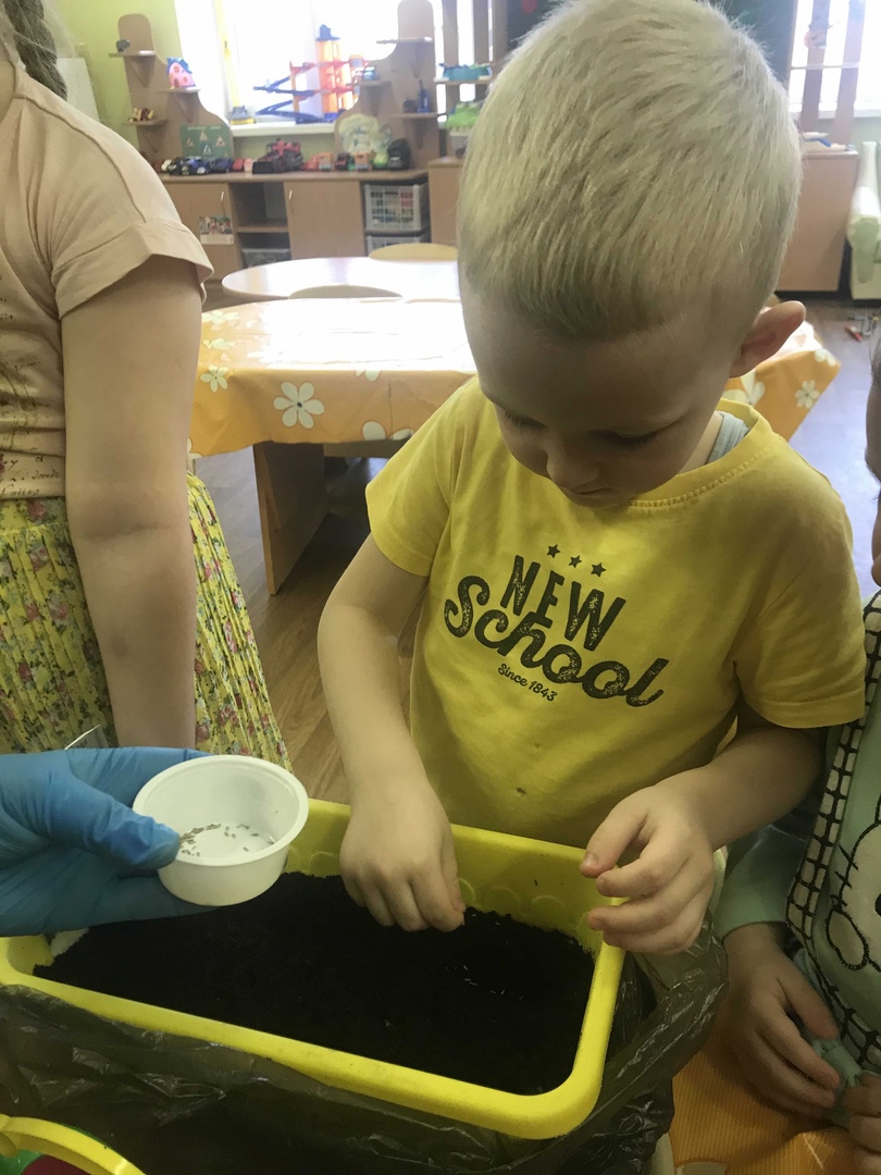 Курносики Крепыши 1 45