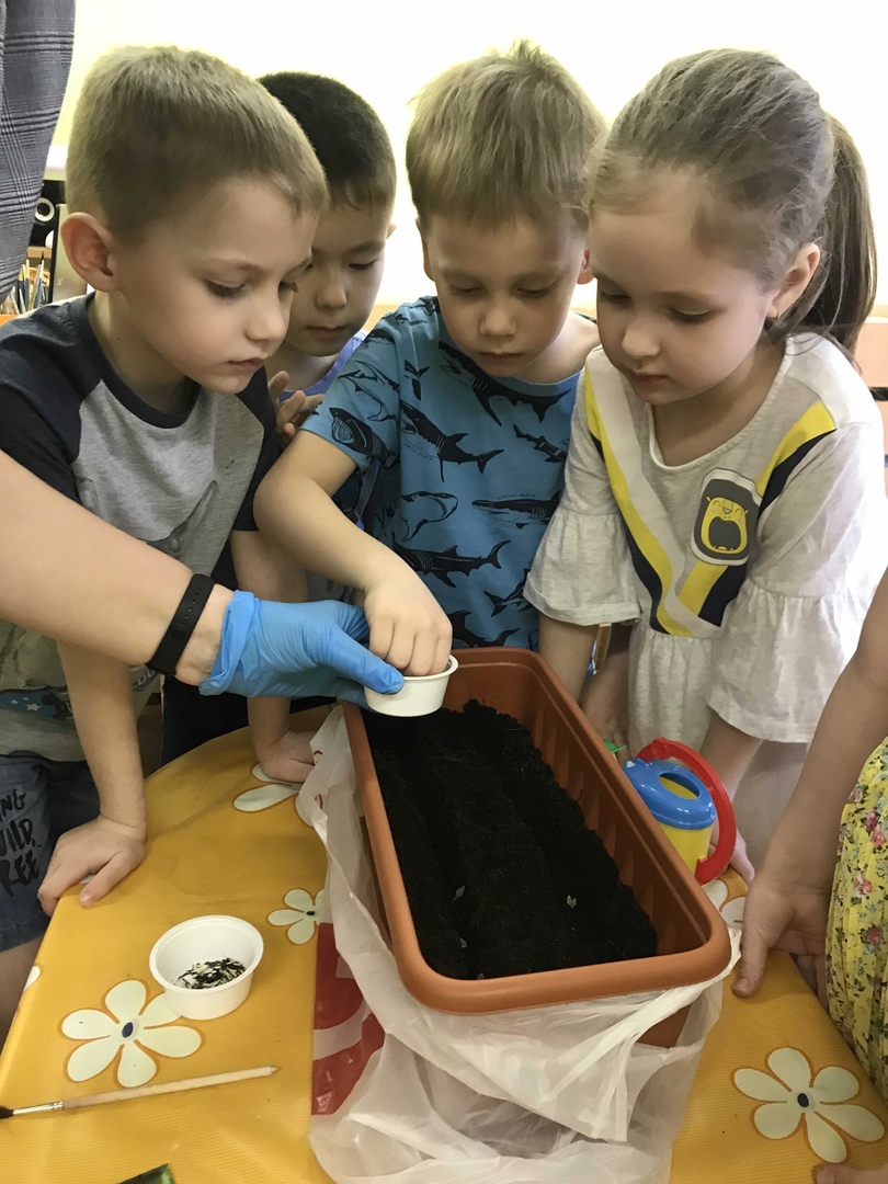 Курносики Крепыши 1 9